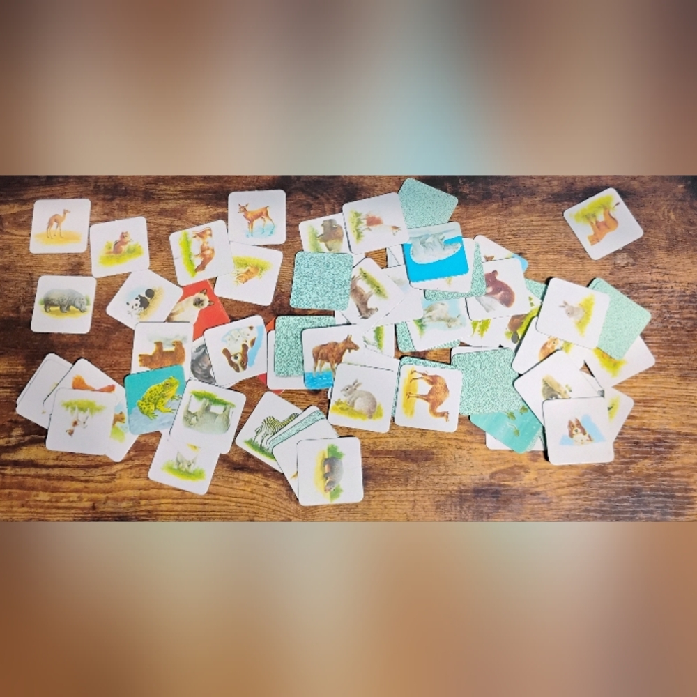 Animal Families Memory Game - Picture 5 of 8